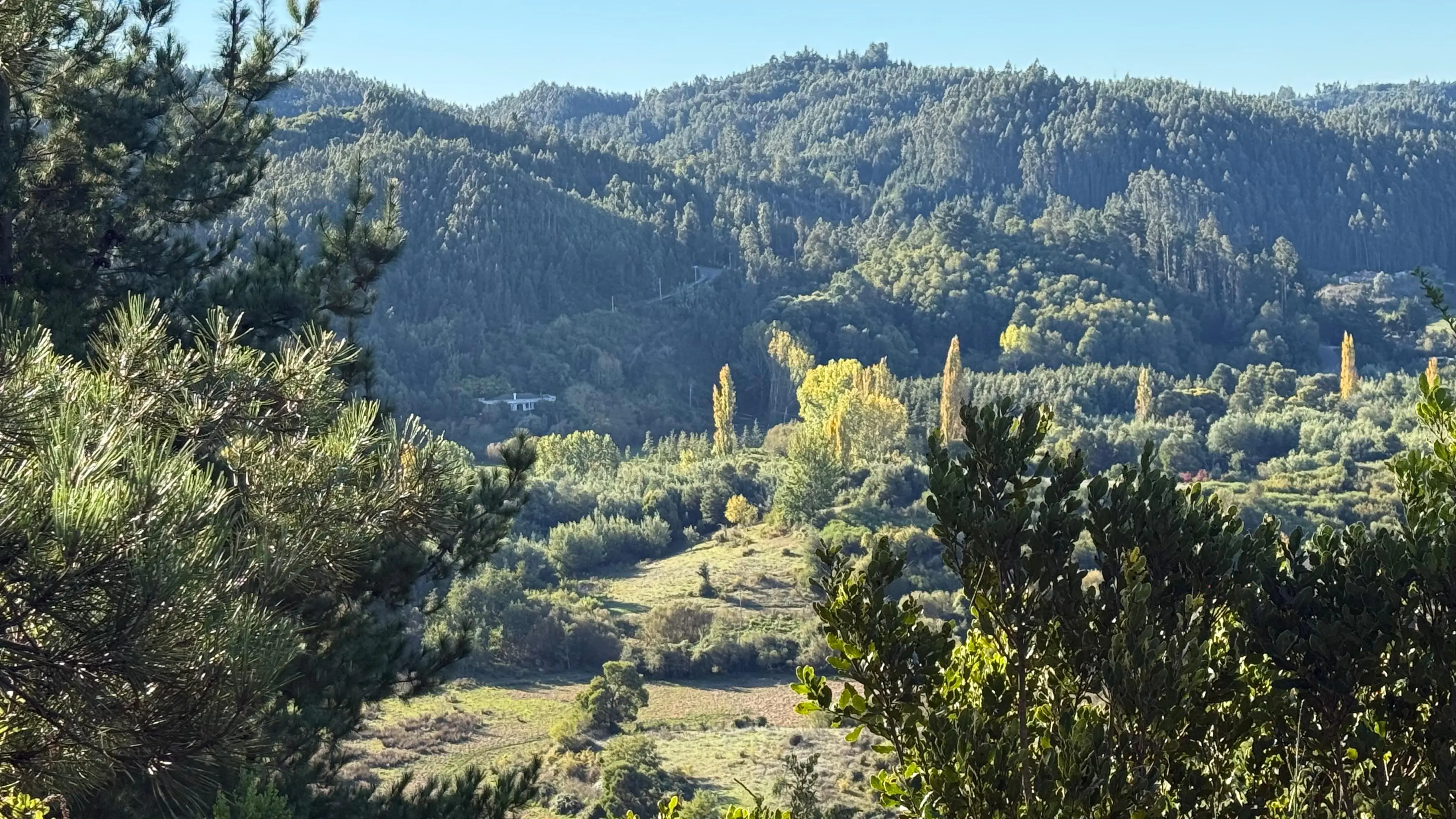 Entorno natural del sector