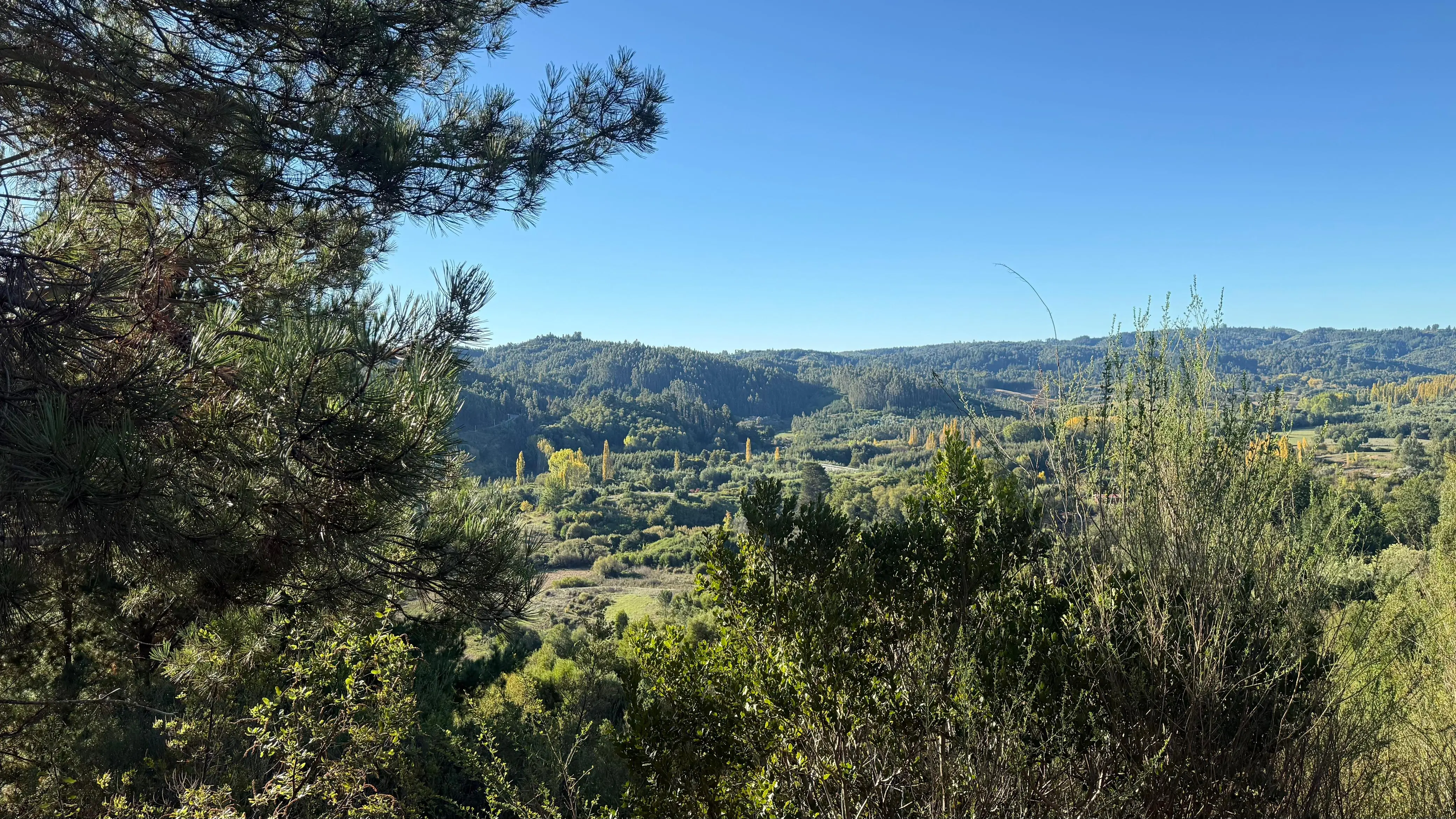 Vista panorámica de Quilacoya